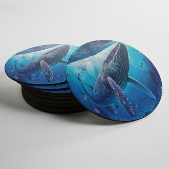 Coasters Underwater scenery Humpback whale