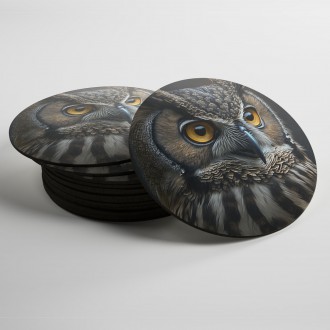 Coasters Owl