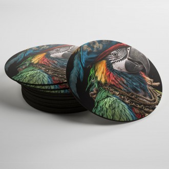 Coasters Pirate parrot