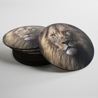Coasters Lion