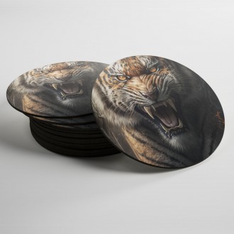 Coasters Fearless tiger