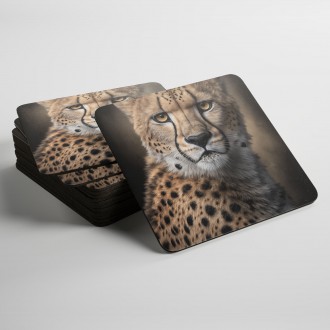 Coasters Cheetah