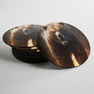 Coasters Grizzly