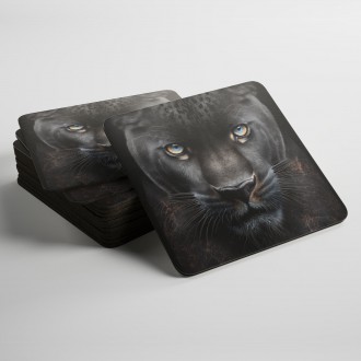 Coasters Black panther male