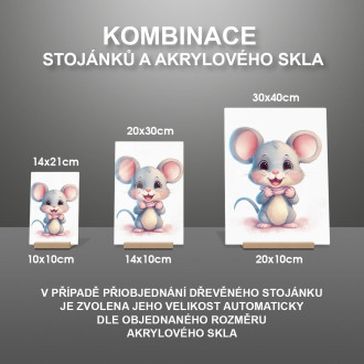 Acrylic glass Cartoon Mouse