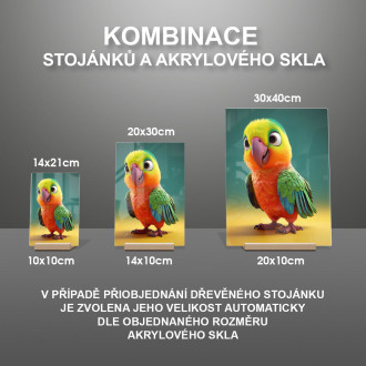 Acrylic glass Cute animated parrot 1
