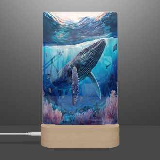 Lamp Underwater scenery Humpback whale