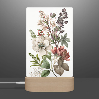 Lamp Flower herbarium 3