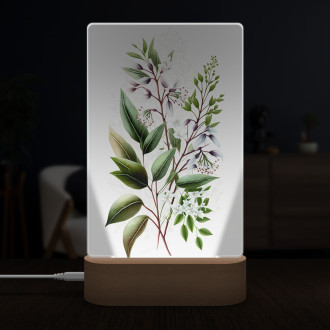 Lamp Flower herbarium 6