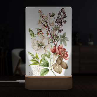 Lamp Flower herbarium 3