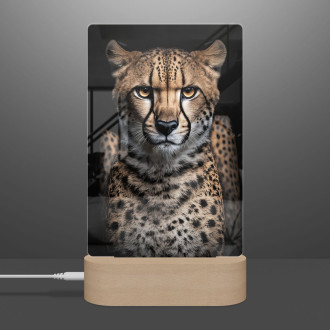 Lamp Cheetah female
