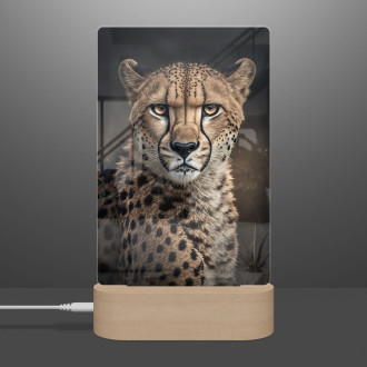 Lamp A male cheetah