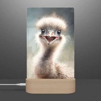 Lamp Watercolor ostrich