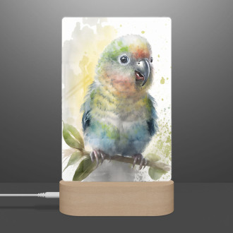 Lamp Watercolor parrot