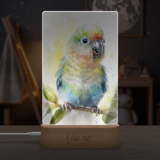 Lamp Watercolor parrot