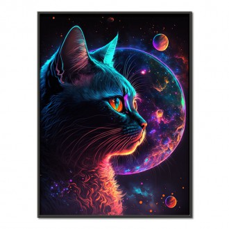 Cat from dark space